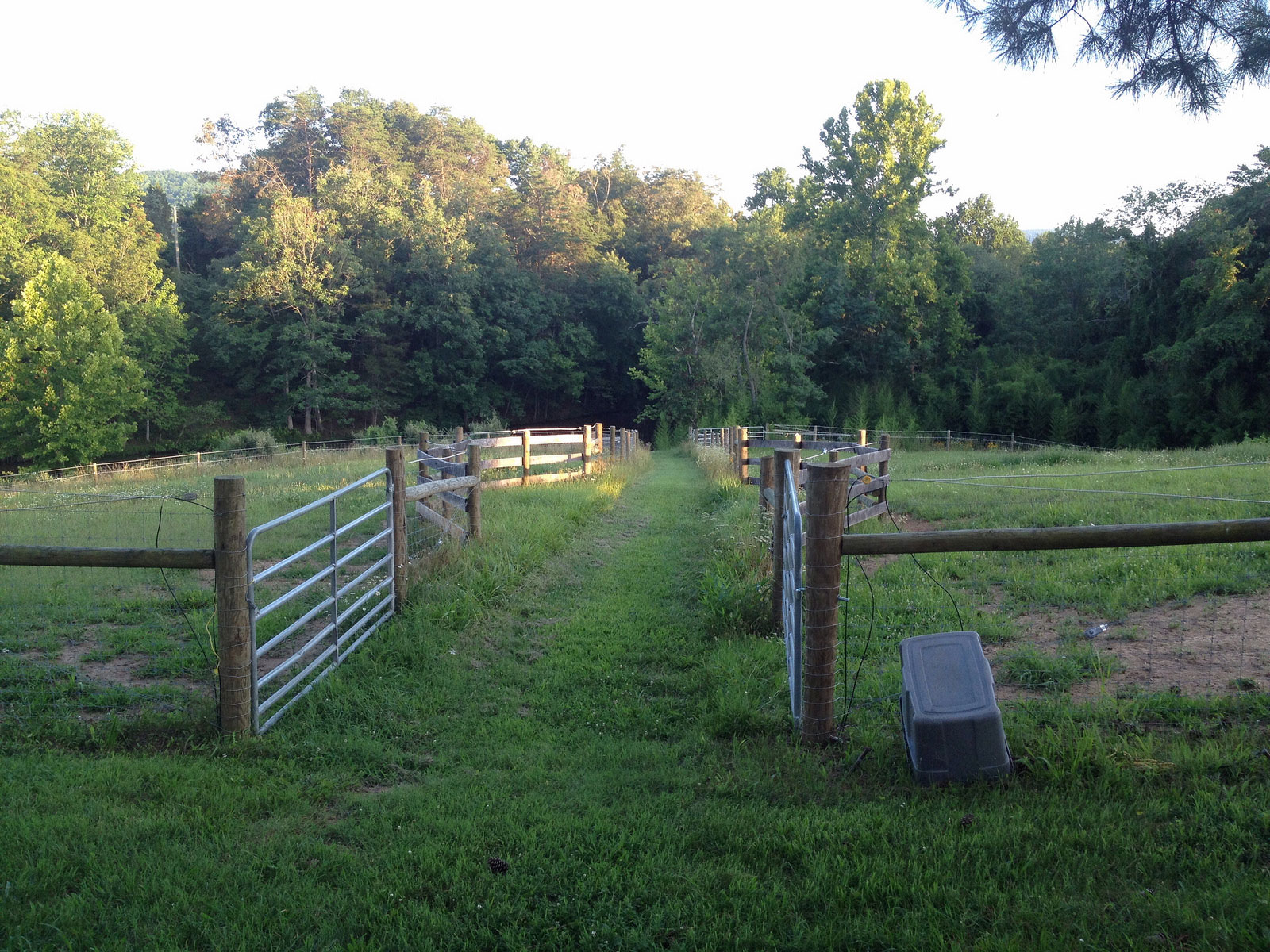 View of paddocks to pond