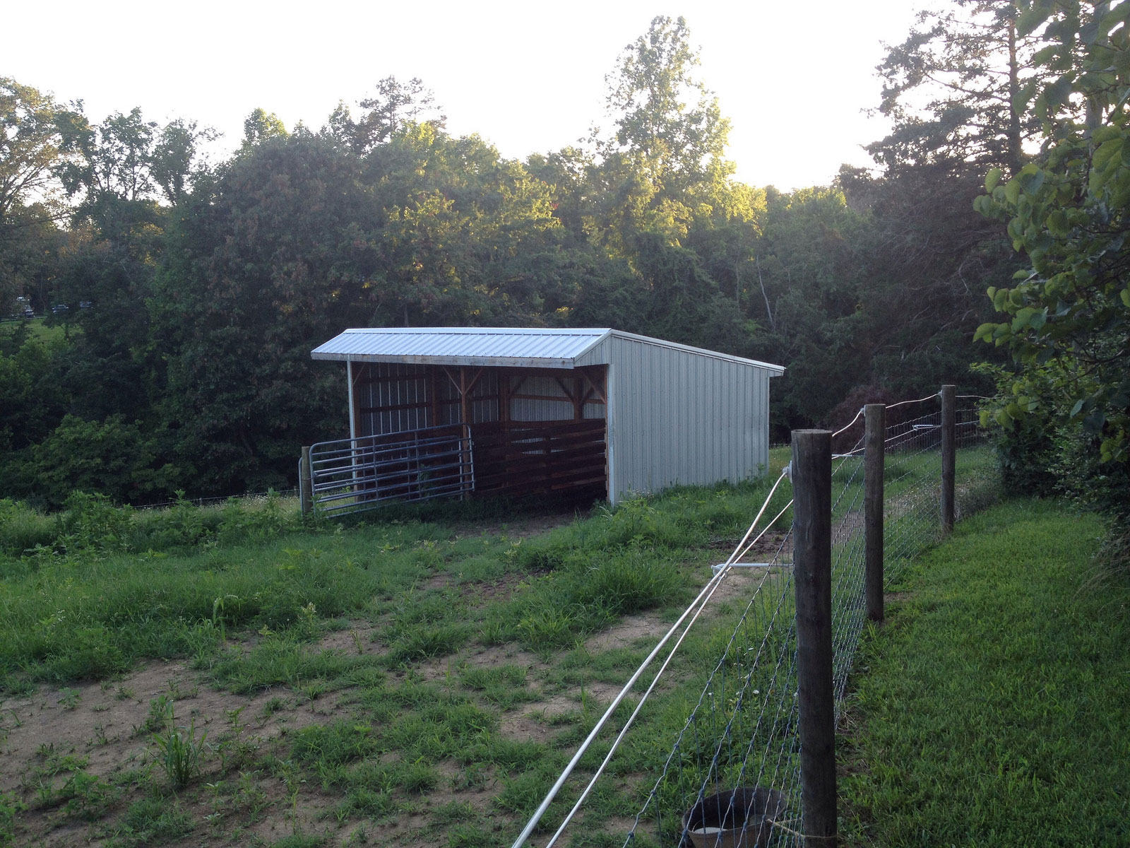 View of run-in Shed