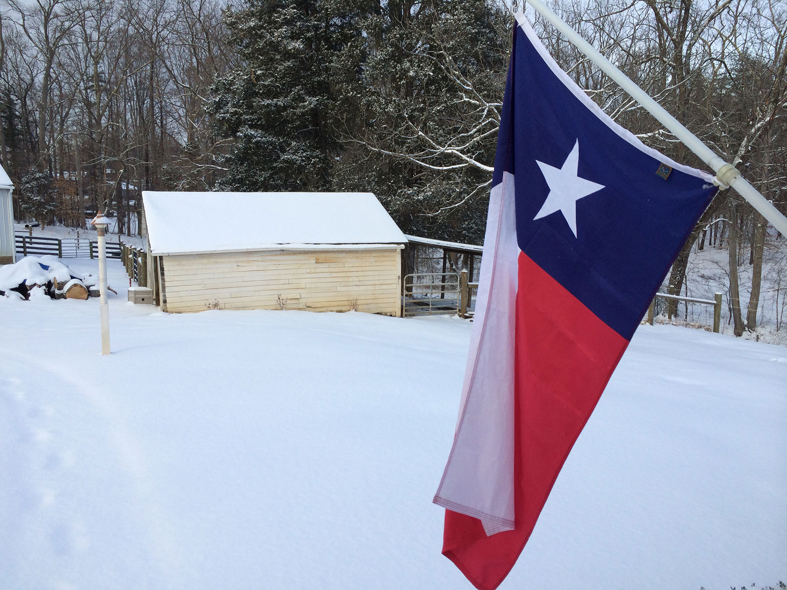 Texas Flag