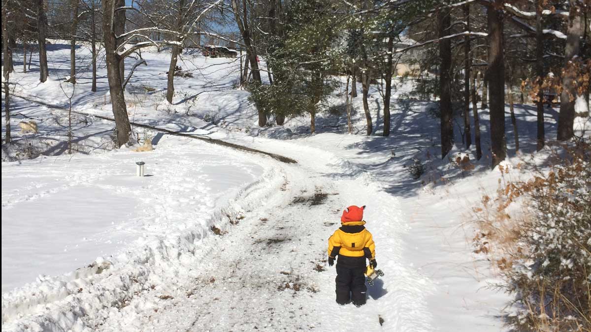 Quincy walking down the driveway and exploring the snow