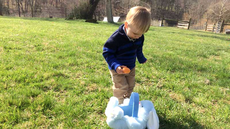 Quincy's Easter Egg Hunt