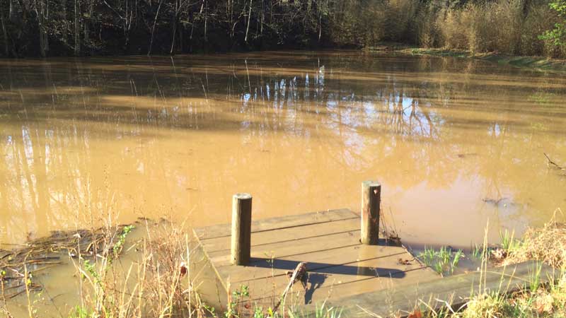 Flooded pond