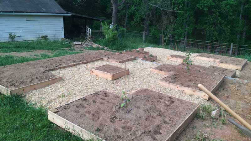 Memorial garden planting