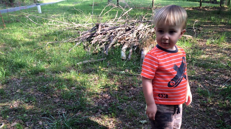 Quincy helping with the wood pile