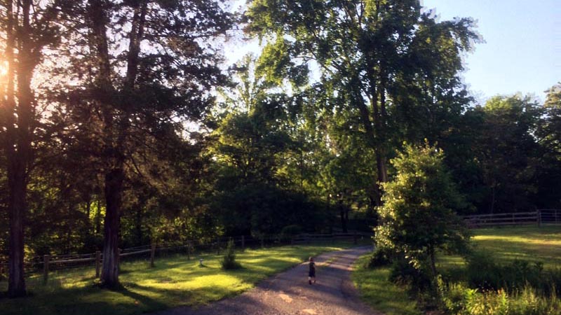 Walking to the mailbox