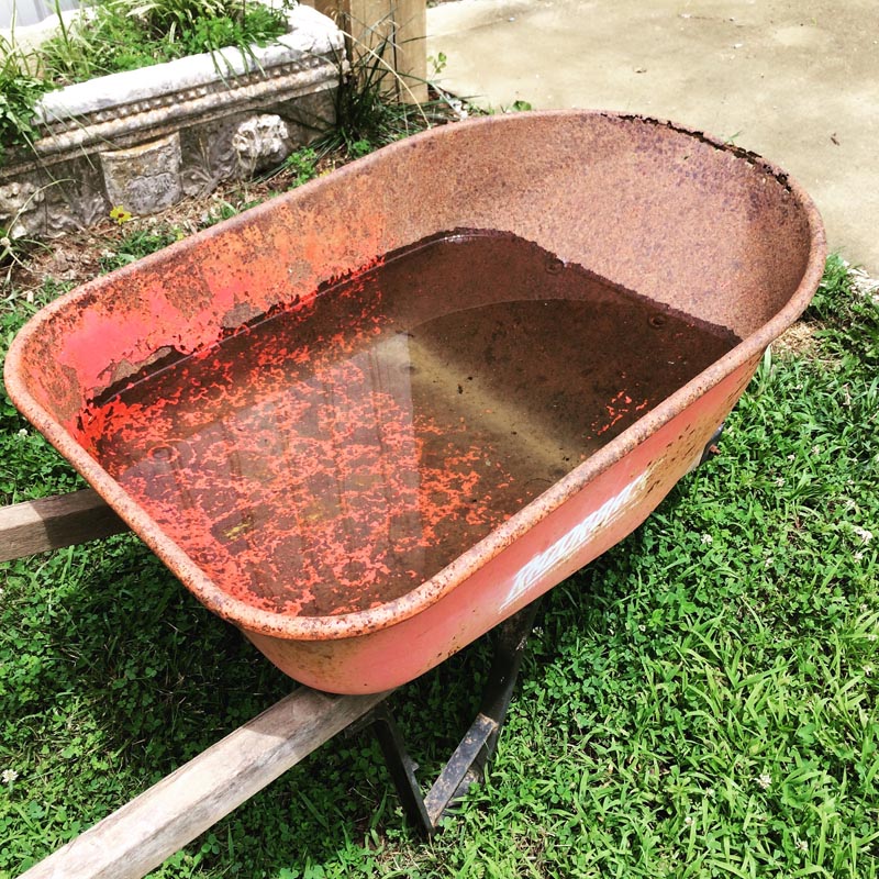 Wheelbarrow filled with rain