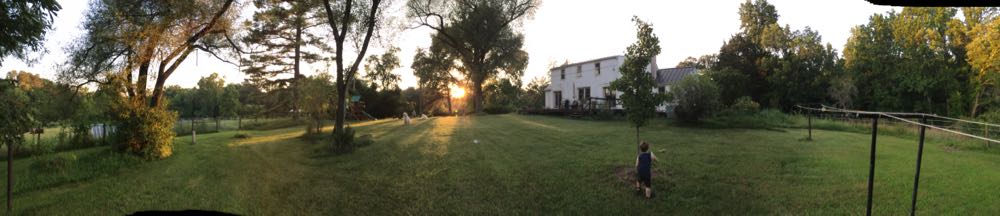 panorama of back yard