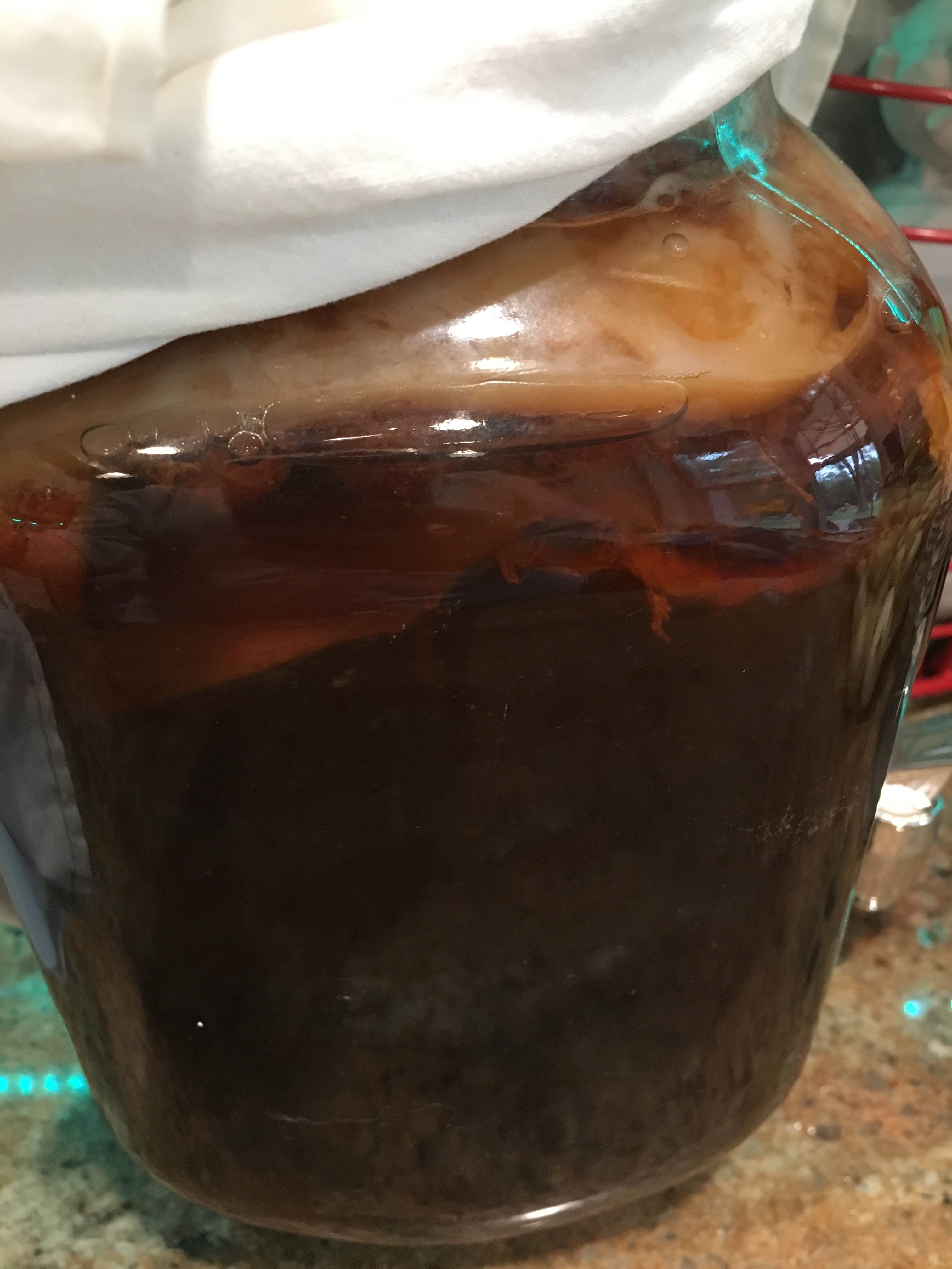 kombucha