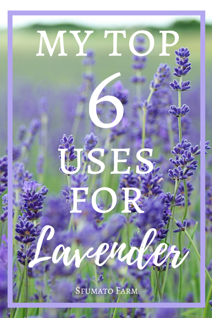 6-uses-for-lavender-2