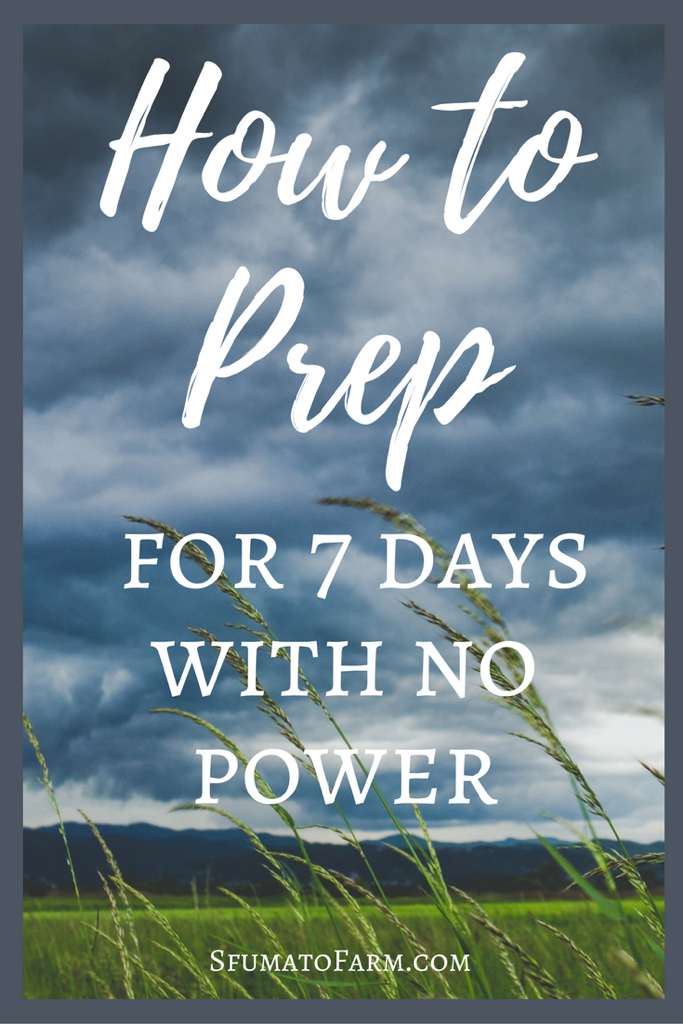 How-to-prep-for-7-days-with-no-power--2-