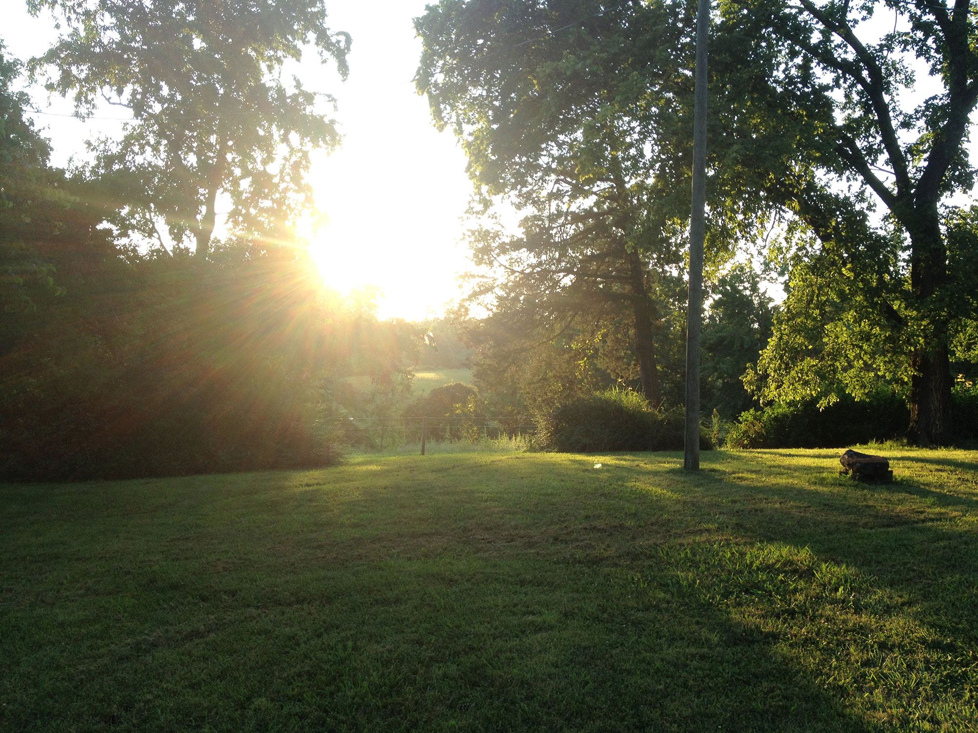 Sfumato Farm