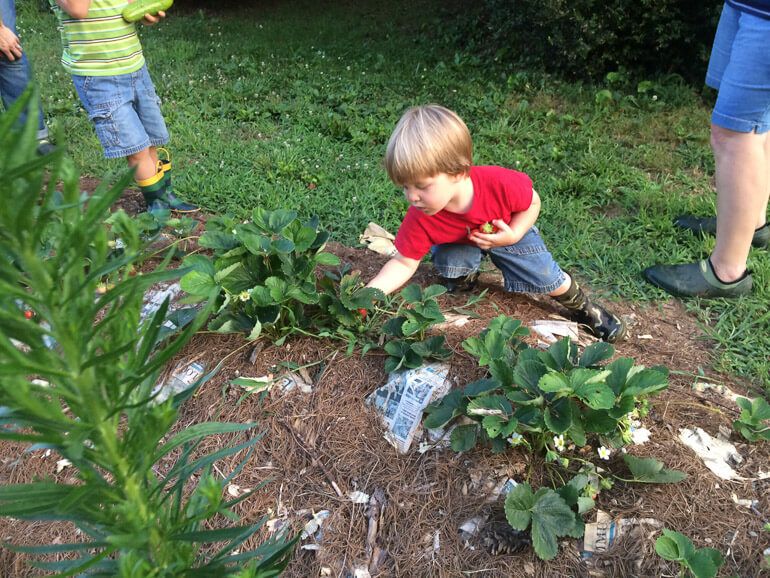 Homesteading with Kids: Amy Landers