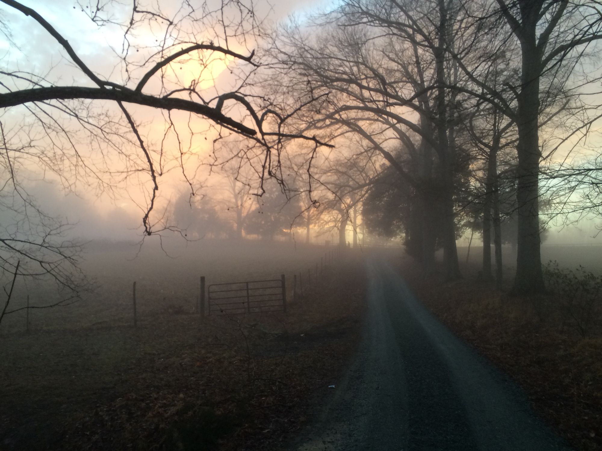 Sfumato Farm