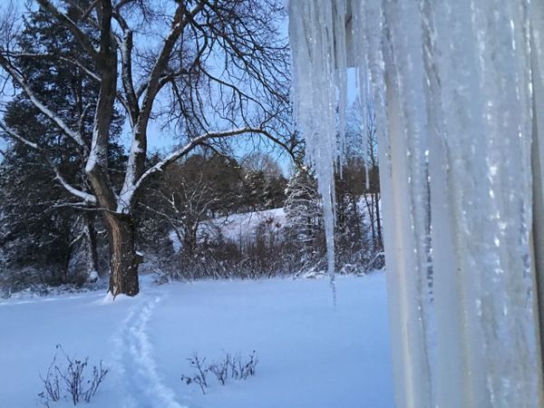 A Tale of Snow and Ice (or How To Prepare for a Winter Storm)