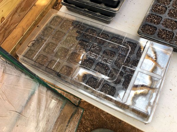 Seed Starting for 2019
