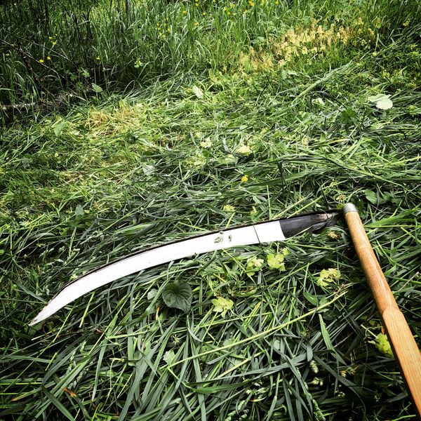 Scything Demonstration